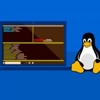Linux Debian en Windows 10